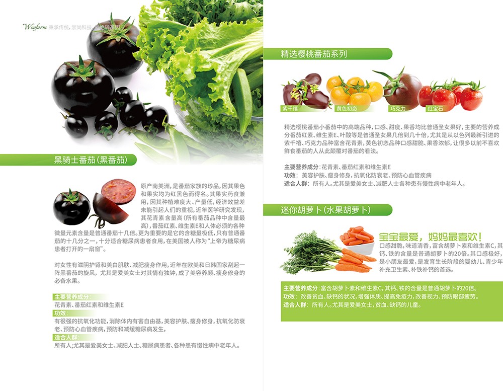 農(nóng)產(chǎn)品畫冊(cè)設(shè)計(jì),農(nóng)副產(chǎn)品畫冊(cè)設(shè)計(jì)公司