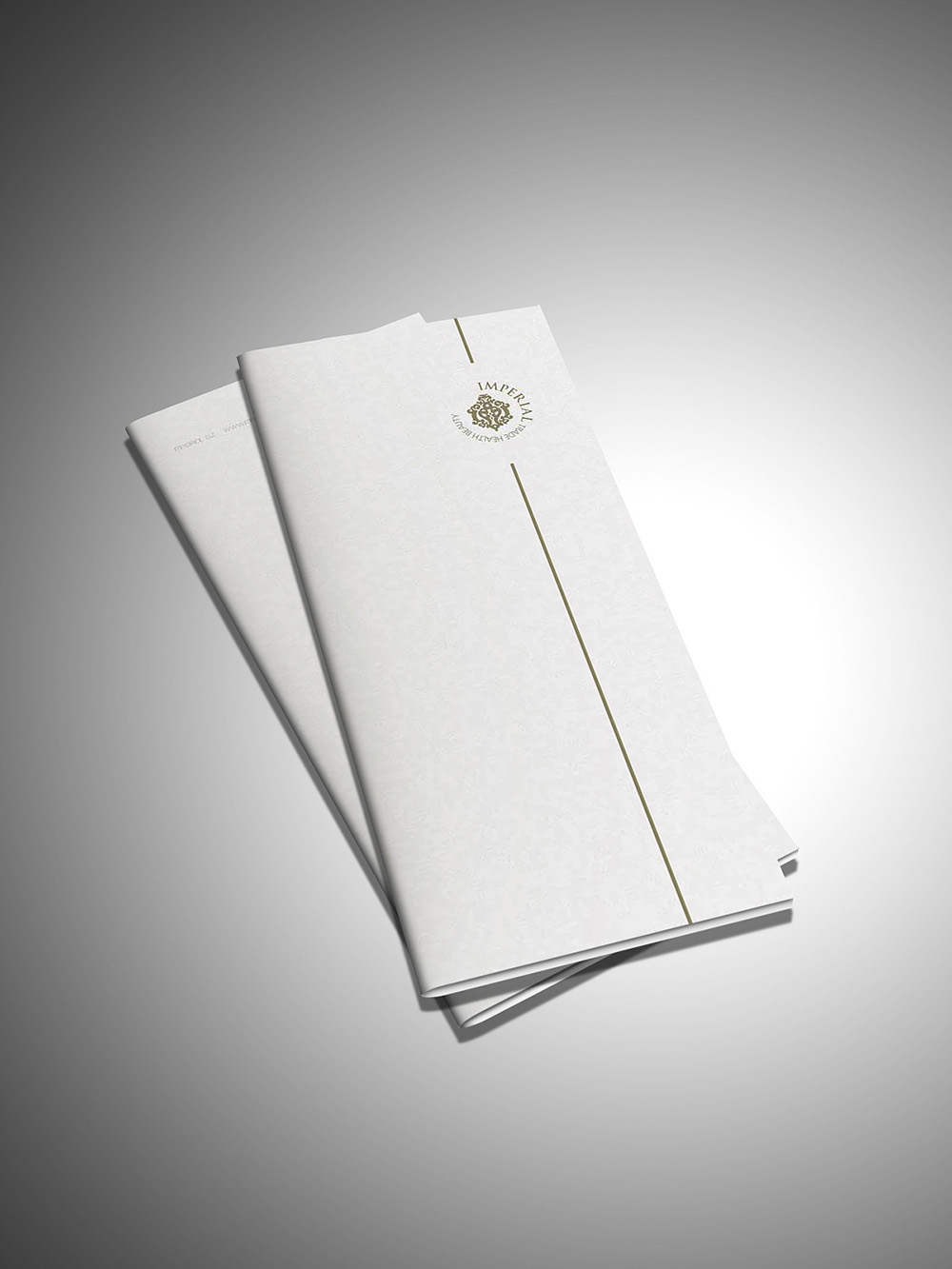 美博會(huì)展會(huì)品牌宣傳設(shè)計(jì),美博會(huì)宣傳冊(cè)設(shè)計(jì)