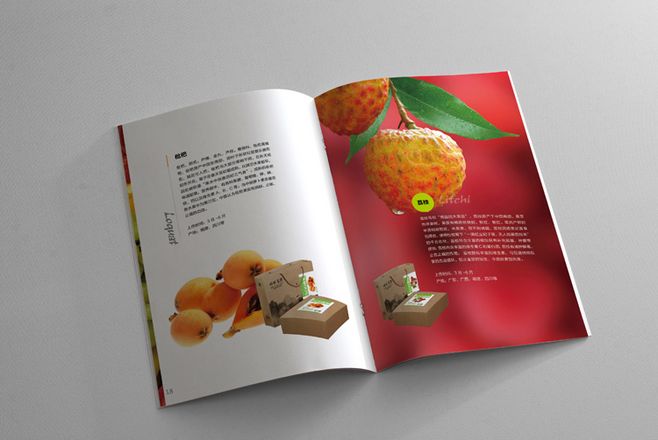 宣傳冊(cè)設(shè)計(jì)一般一頁(yè)多少錢？宣傳冊(cè)的特點(diǎn)有哪些？