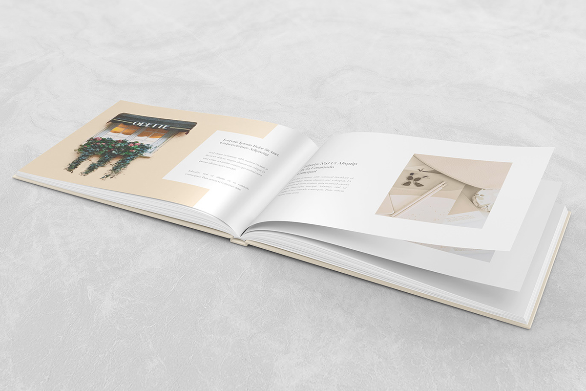 企業(yè)畫冊(cè)設(shè)計(jì)一本需要多少錢？如何制作企業(yè)畫冊(cè)？