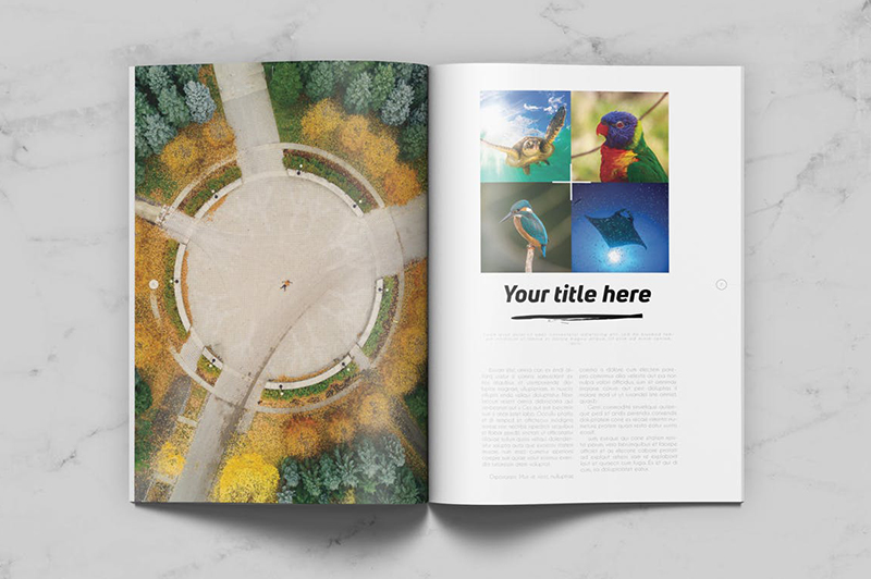 頂級畫冊設計公司都有哪些排版技巧？