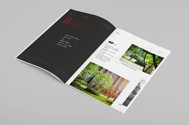 畫冊畫冊設(shè)計(jì)多少錢？畫冊設(shè)計(jì)有哪些排版？