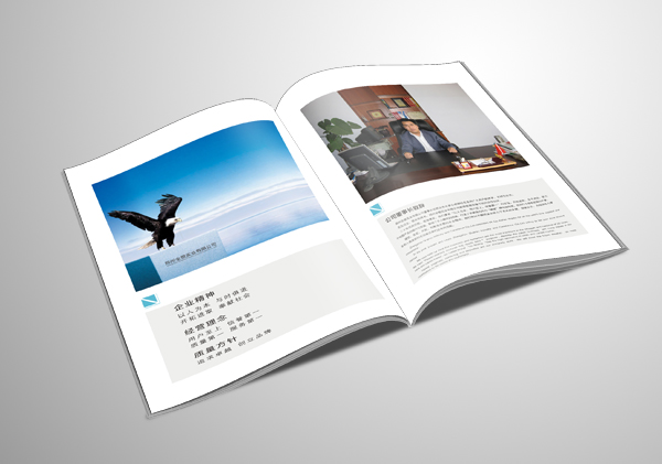 怎樣才是一本好的畫冊？