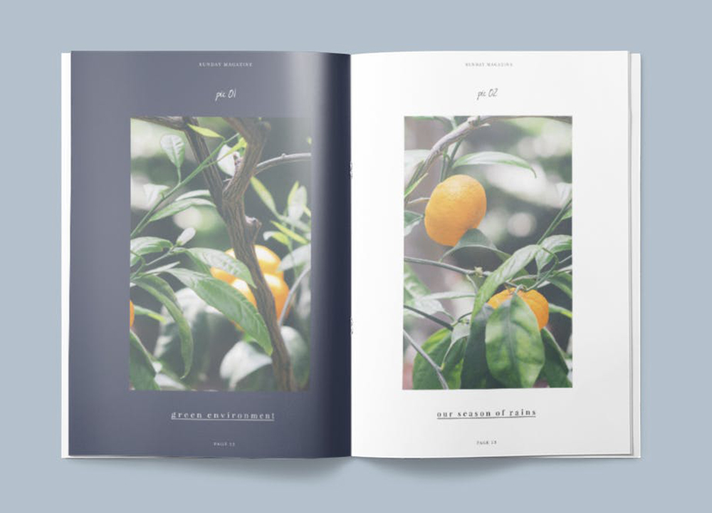 畫冊設計印刷多少錢？畫冊設計費是怎么定價？