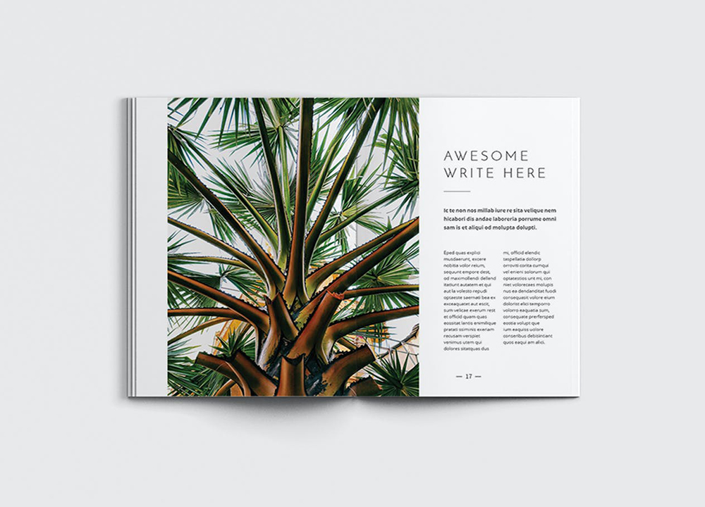 設計一套畫冊多少錢？