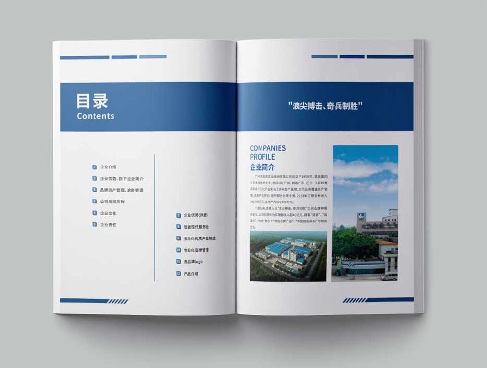 洗滌用品集團(tuán)冊(cè)設(shè)計(jì),集團(tuán)冊(cè)設(shè)計(jì)公司 洗滌用品集團(tuán)冊(cè)設(shè)計(jì),集團(tuán)冊(cè)設(shè)計(jì)公司