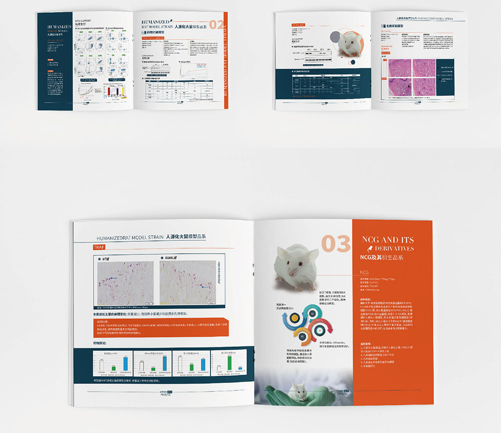 模型企業(yè)畫冊設(shè)計,模型企業(yè)畫冊設(shè)計公司