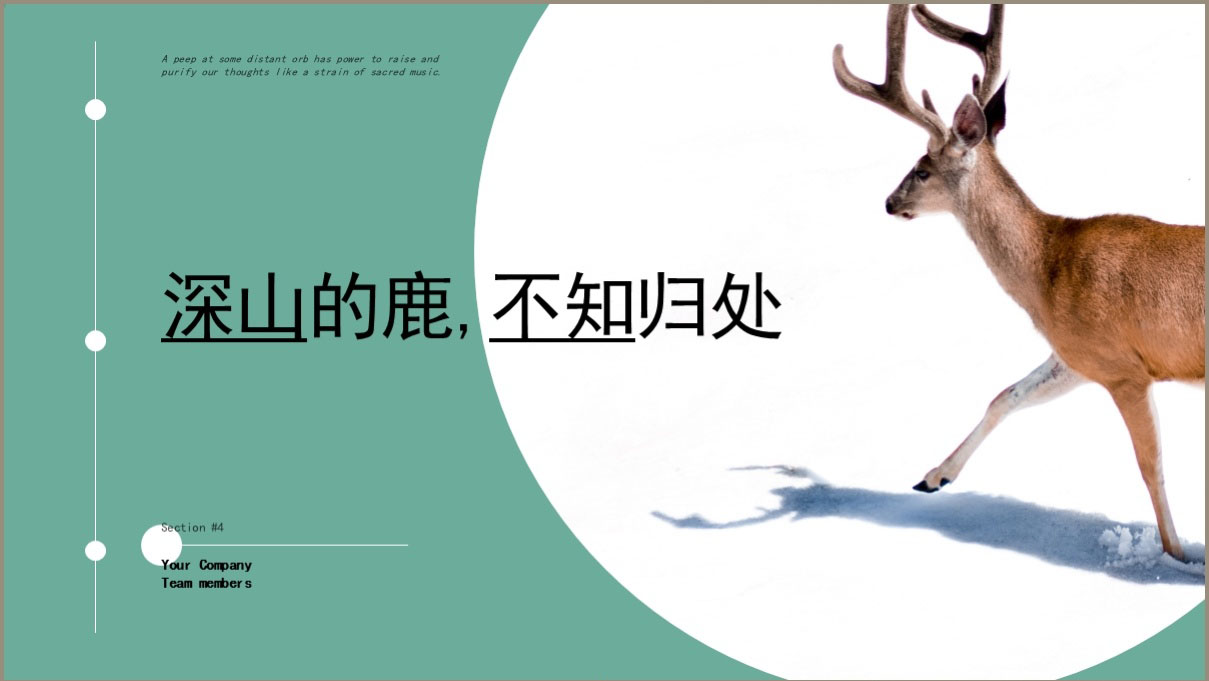 圓形畫(huà)冊(cè)設(shè)計(jì),圓形畫(huà)冊(cè)設(shè)計(jì)公司