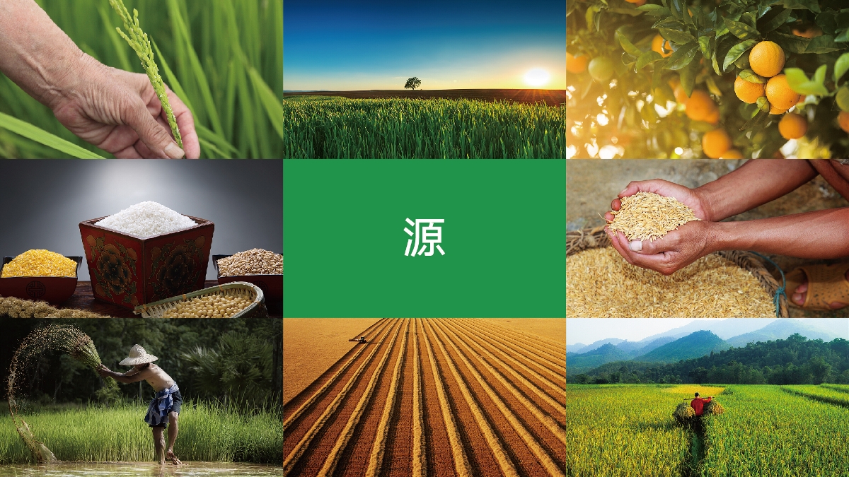 農(nóng)產(chǎn)品品牌設(shè)計(jì)技巧有哪些？怎樣塑造品牌形象