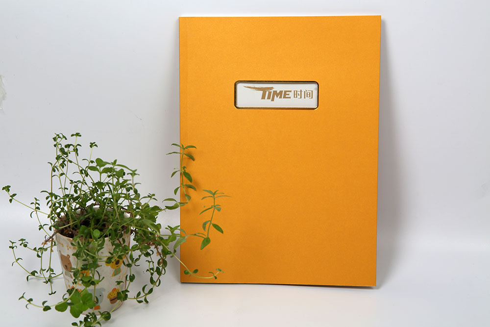 高端商務(wù)畫(huà)冊(cè)印刷,高端商務(wù)畫(huà)冊(cè)印刷公司