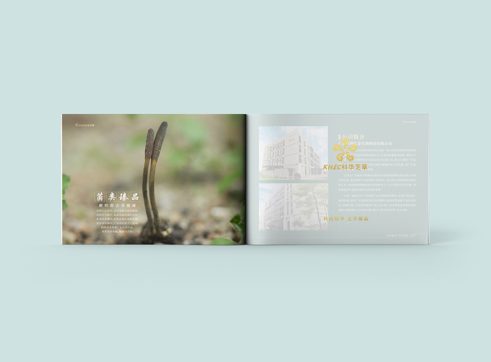 畫冊設(shè)計(jì)公司 畫冊設(shè)計(jì)公司