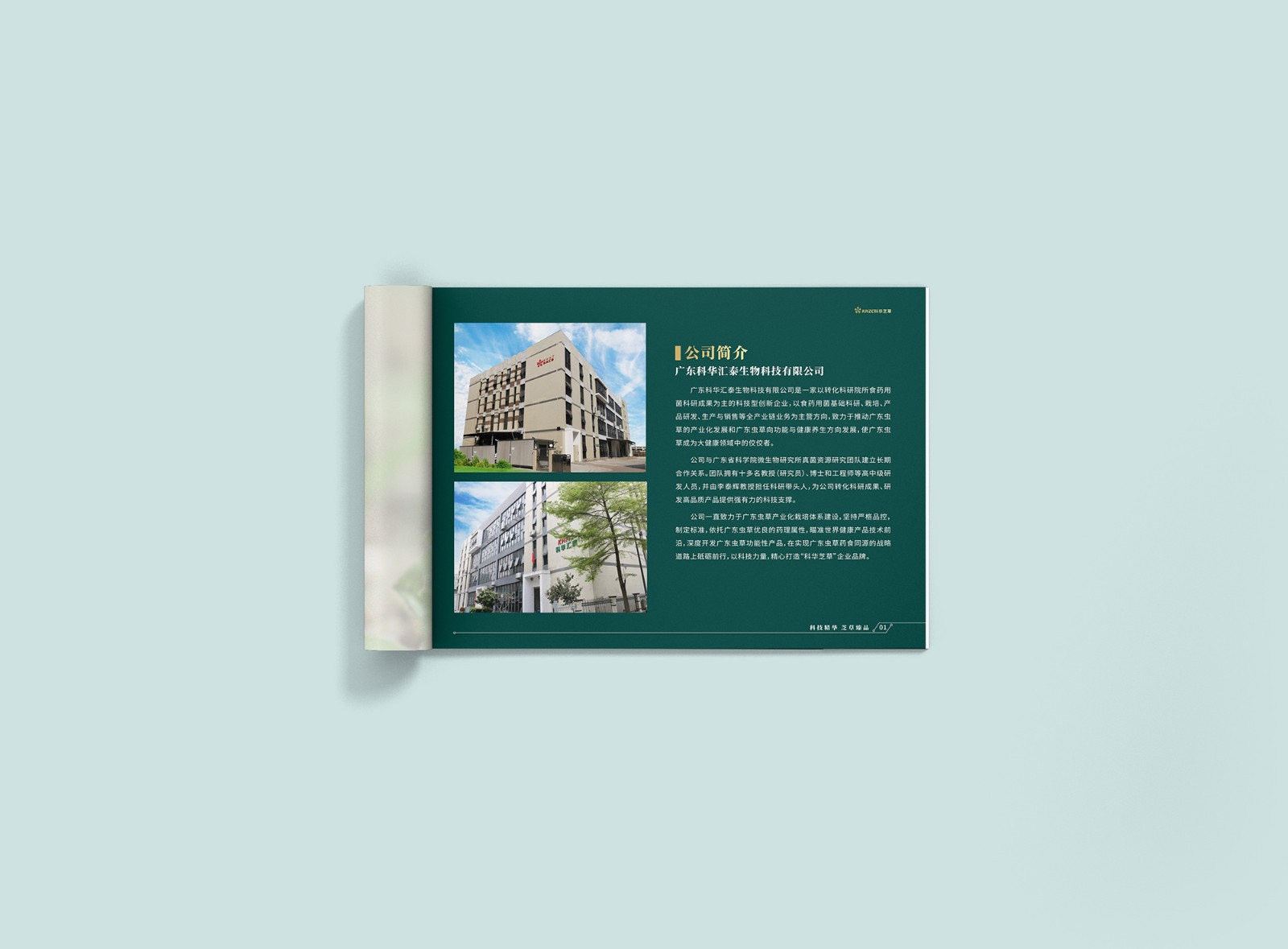 畫冊設(shè)計(jì)公司 畫冊設(shè)計(jì)公司