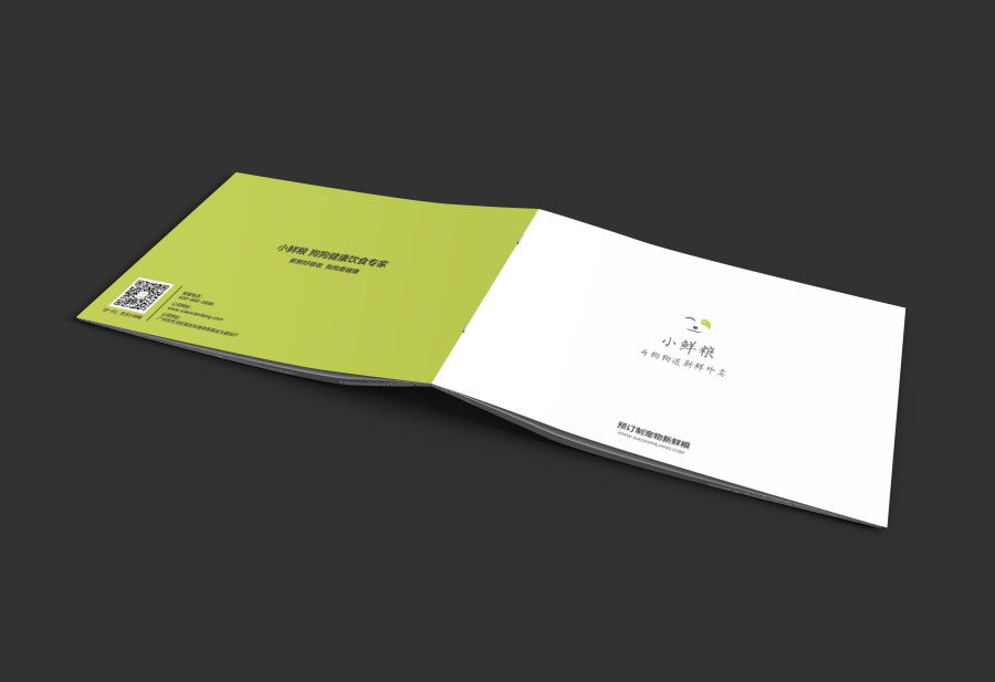 產(chǎn)品介紹手冊設(shè)計(jì)