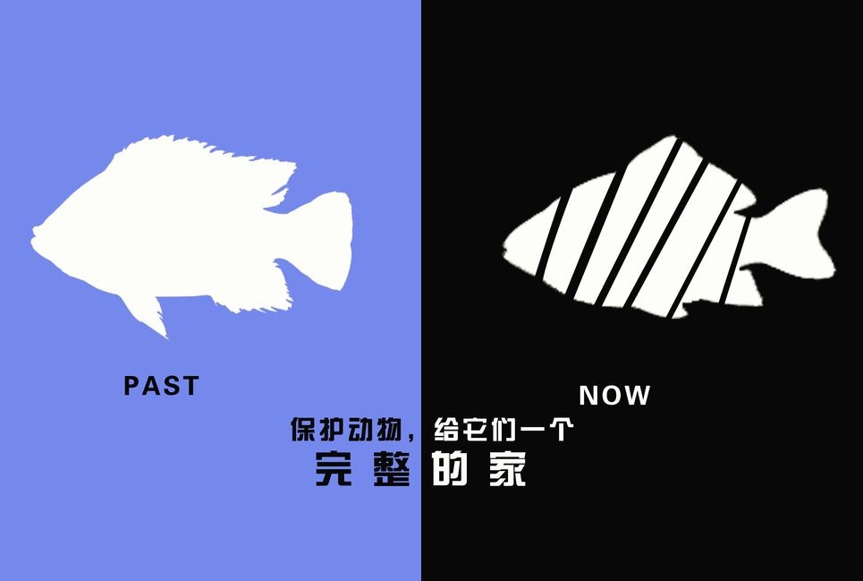 廣告設計制作有哪些要求？有哪些注意事項？