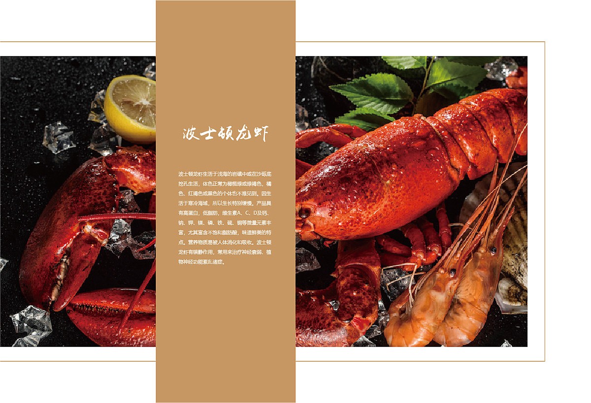 生鮮類產(chǎn)品宣傳冊設(shè)計,生鮮類產(chǎn)品宣傳冊設(shè)計公司