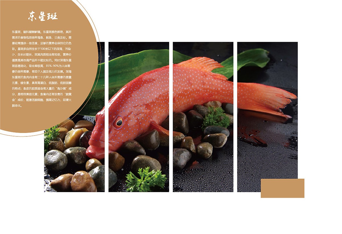 生鮮類產(chǎn)品宣傳冊設(shè)計,生鮮類產(chǎn)品宣傳冊設(shè)計公司