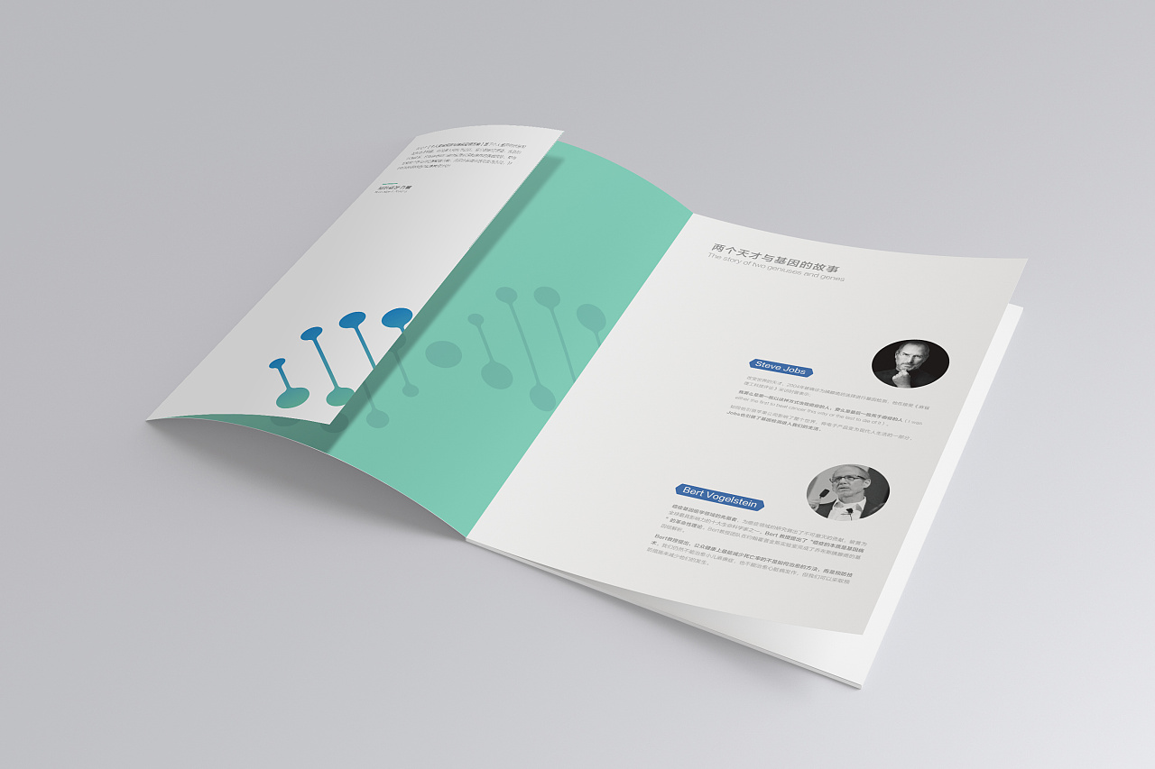 基因檢測企業(yè)畫冊設計,拉P企業(yè)畫冊設計公司