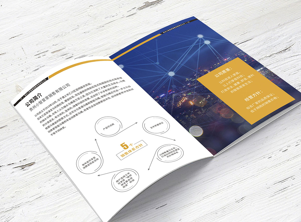 智能馬桶產(chǎn)品畫冊(cè)設(shè)計(jì),衛(wèi)浴產(chǎn)品畫冊(cè)設(shè)計(jì)公司