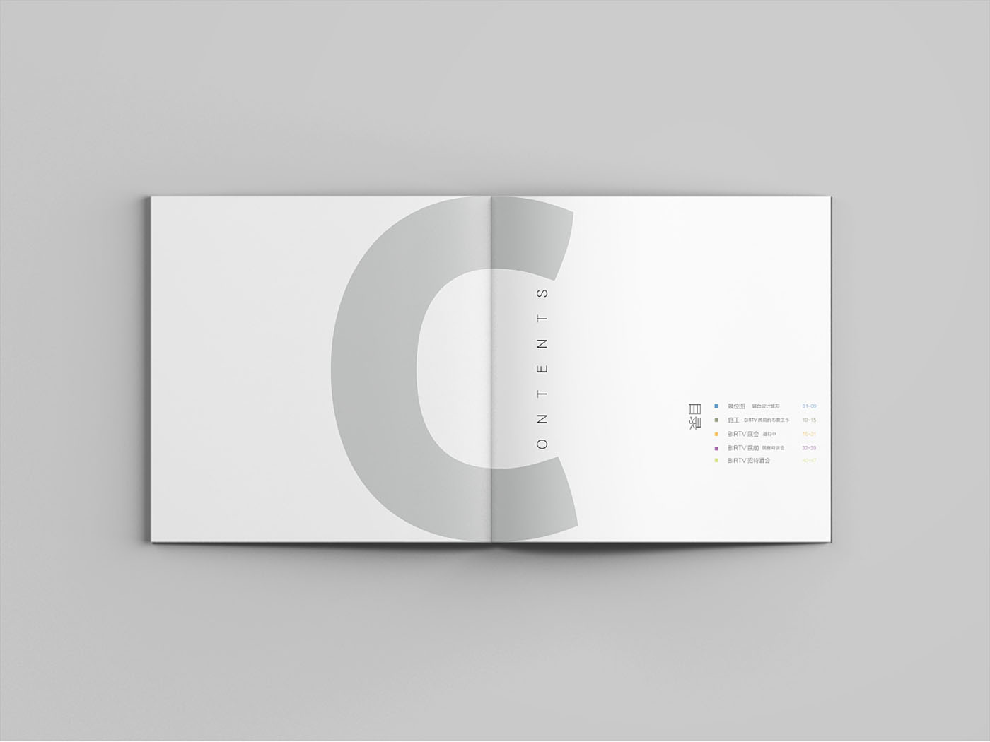 集團(tuán)極簡風(fēng)紀(jì)念冊設(shè)計-集團(tuán)紀(jì)念冊設(shè)計公司