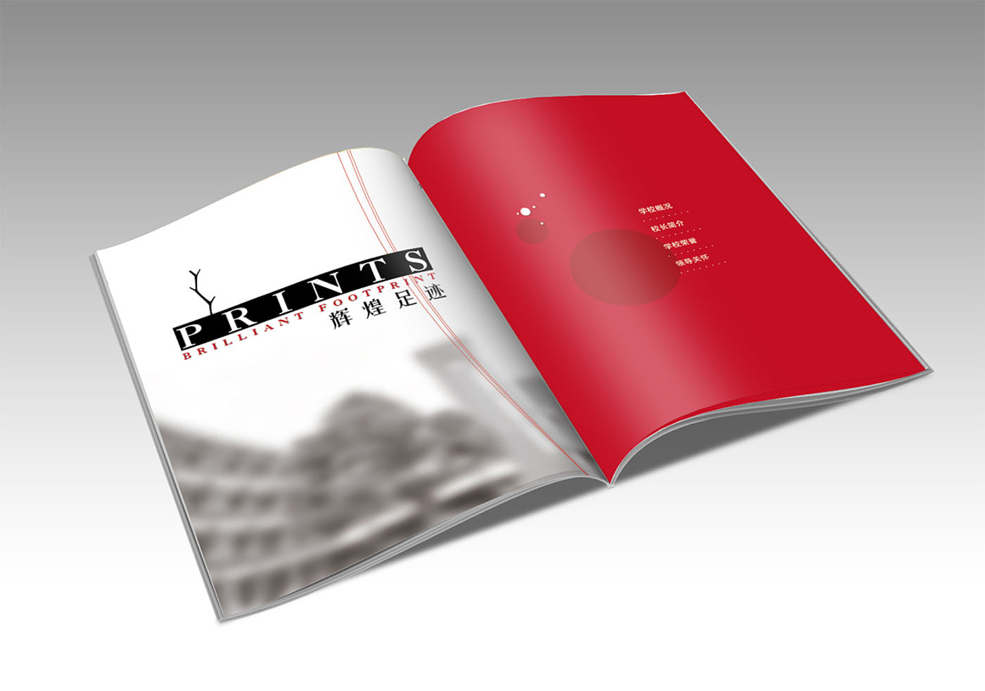 學(xué)校周年紀(jì)念冊(cè)設(shè)計(jì)-企業(yè)紀(jì)念畫(huà)冊(cè)設(shè)計(jì)公司