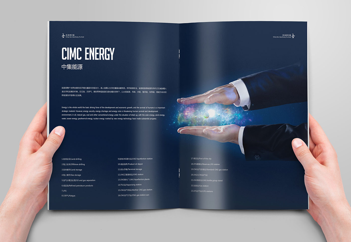 為什么有的畫(huà)冊(cè)幾十元一P?有的就要幾百元不等呢？