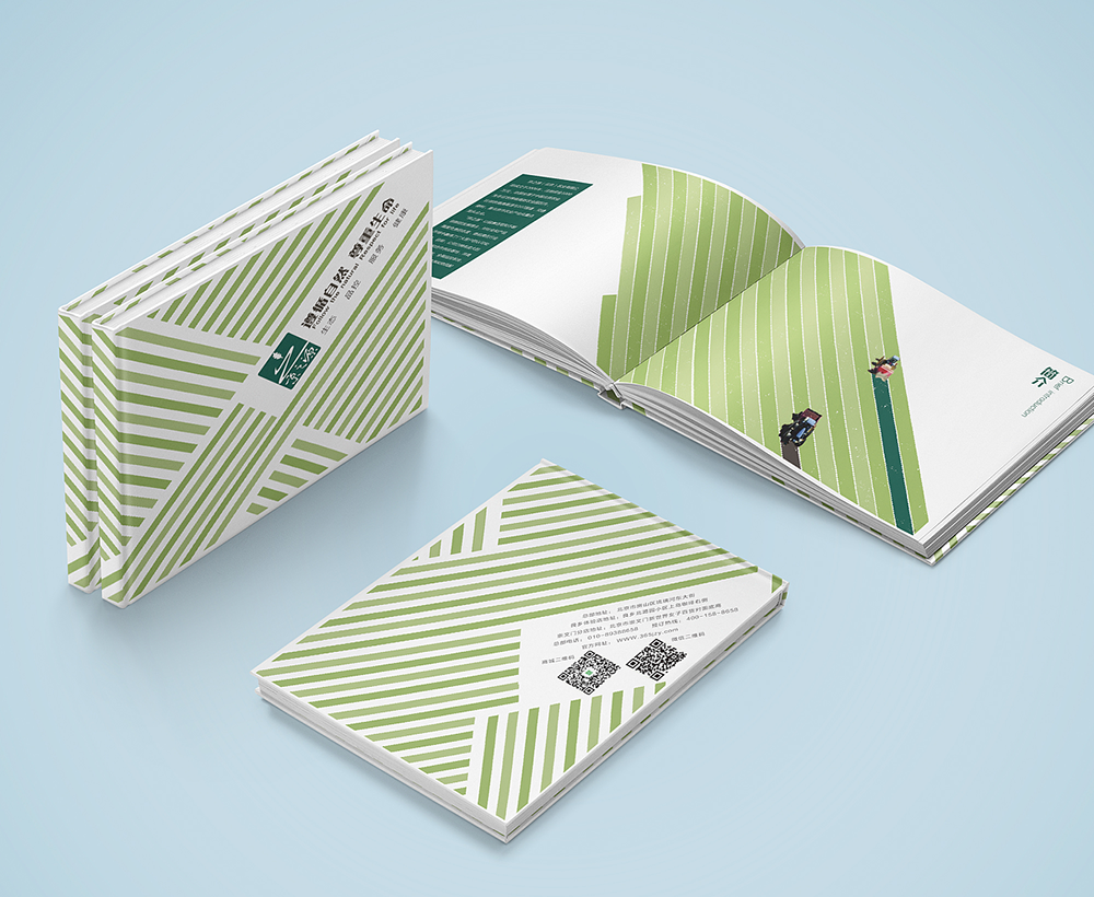 畫冊排版設(shè)計(jì)，畫冊排版設(shè)計(jì)公司