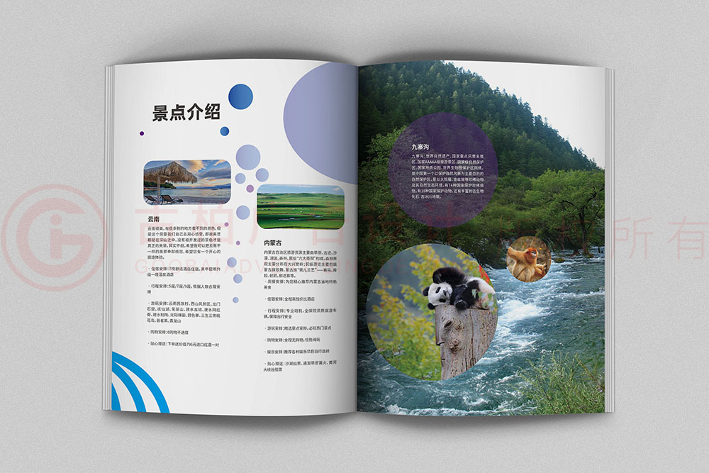 畫(huà)冊(cè)設(shè)計(jì)-清新簡(jiǎn)約畫(huà)冊(cè)設(shè)計(jì)公司