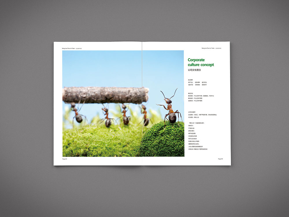 貿(mào)易行業(yè)畫冊(cè)設(shè)計(jì),貿(mào)易行業(yè)畫冊(cè)設(shè)計(jì)公司