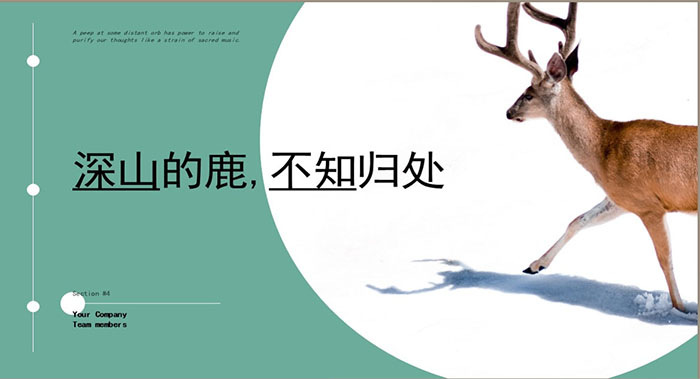 圓形畫冊設(shè)計-圓形畫冊設(shè)計公司