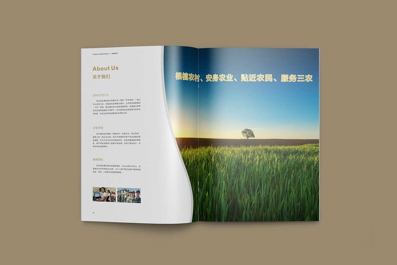 成都企業(yè)為什么要選擇高端宣傳冊設計公司呢？