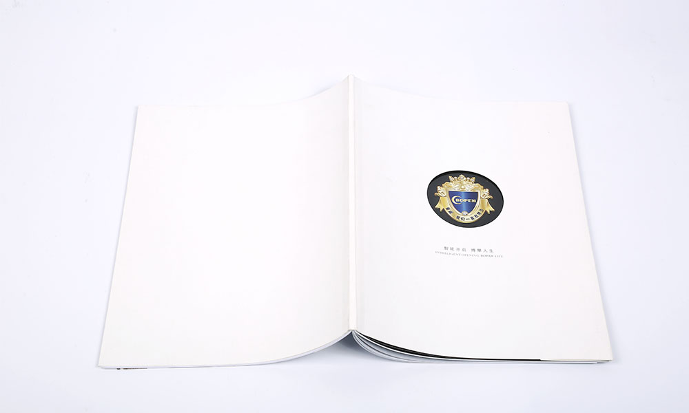 一個(gè)畫冊(cè)設(shè)計(jì)哪家好？