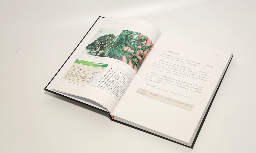 怎么學(xué)畫冊設(shè)計(jì)制作多大合適？