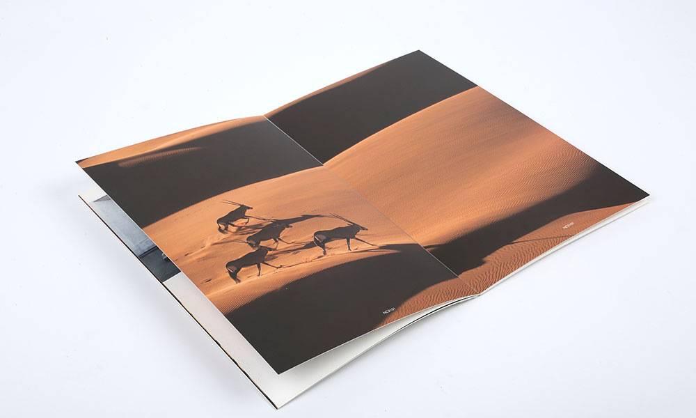 學宣傳冊設計制作哪家才行？